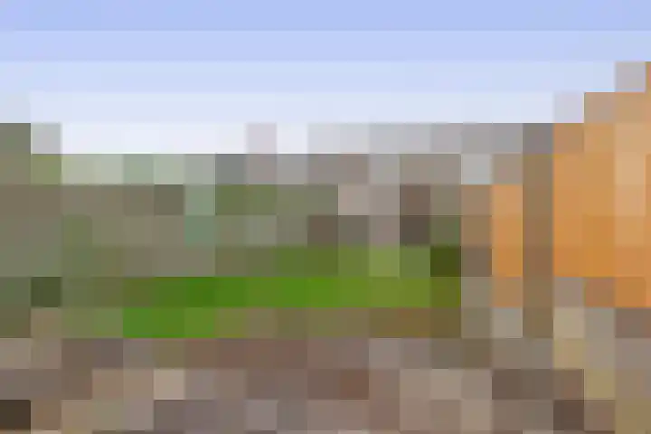 Havelaarstraat 71 Colijnsplaat thumbnail 31