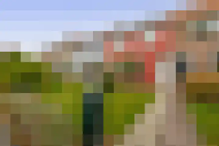Havelaarstraat 71 Colijnsplaat thumbnail 6