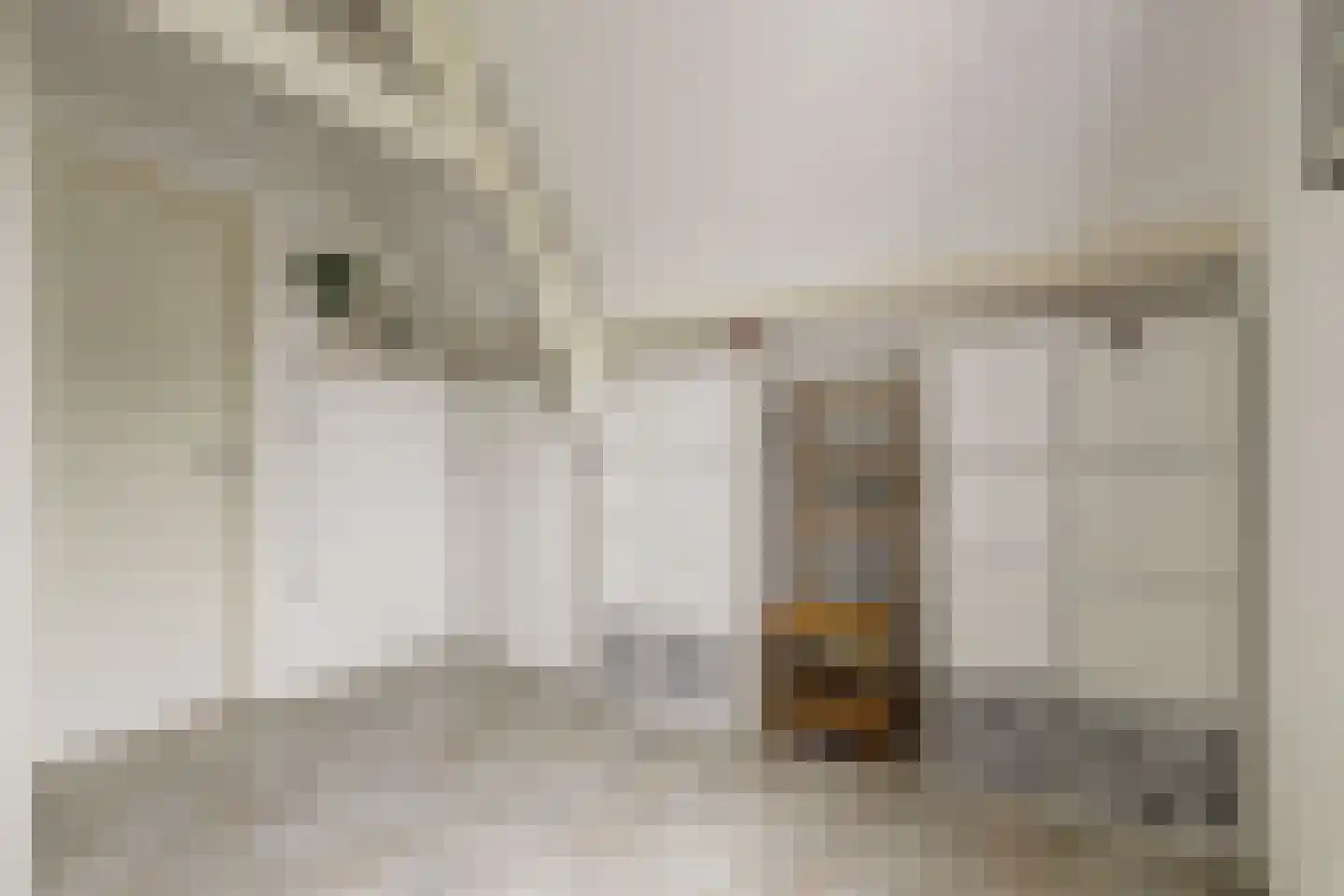 Havelaarstraat 87 Colijnsplaat thumbnail 22