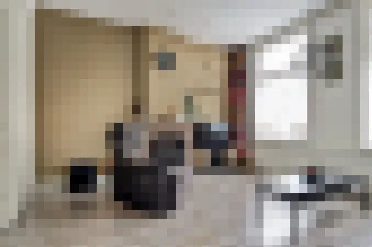 Havelaarstraat 87 Colijnsplaat thumbnail 9