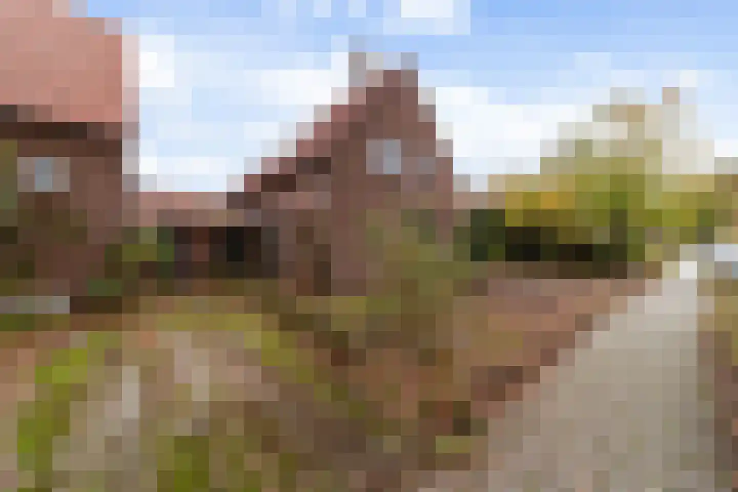 Havelandseweg 52 Rheden thumbnail 12