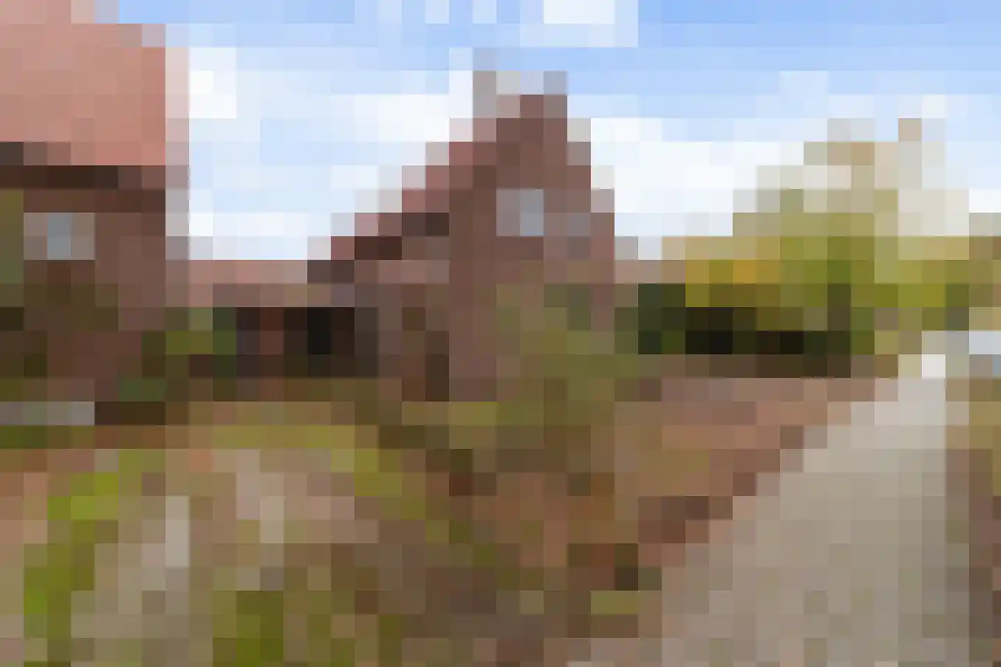 Havelandseweg 52 Rheden thumbnail 12