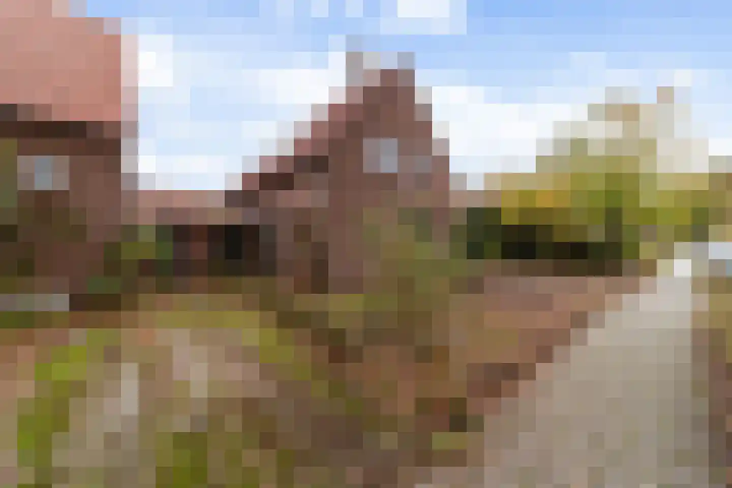Havelandseweg 52 Rheden thumbnail 12