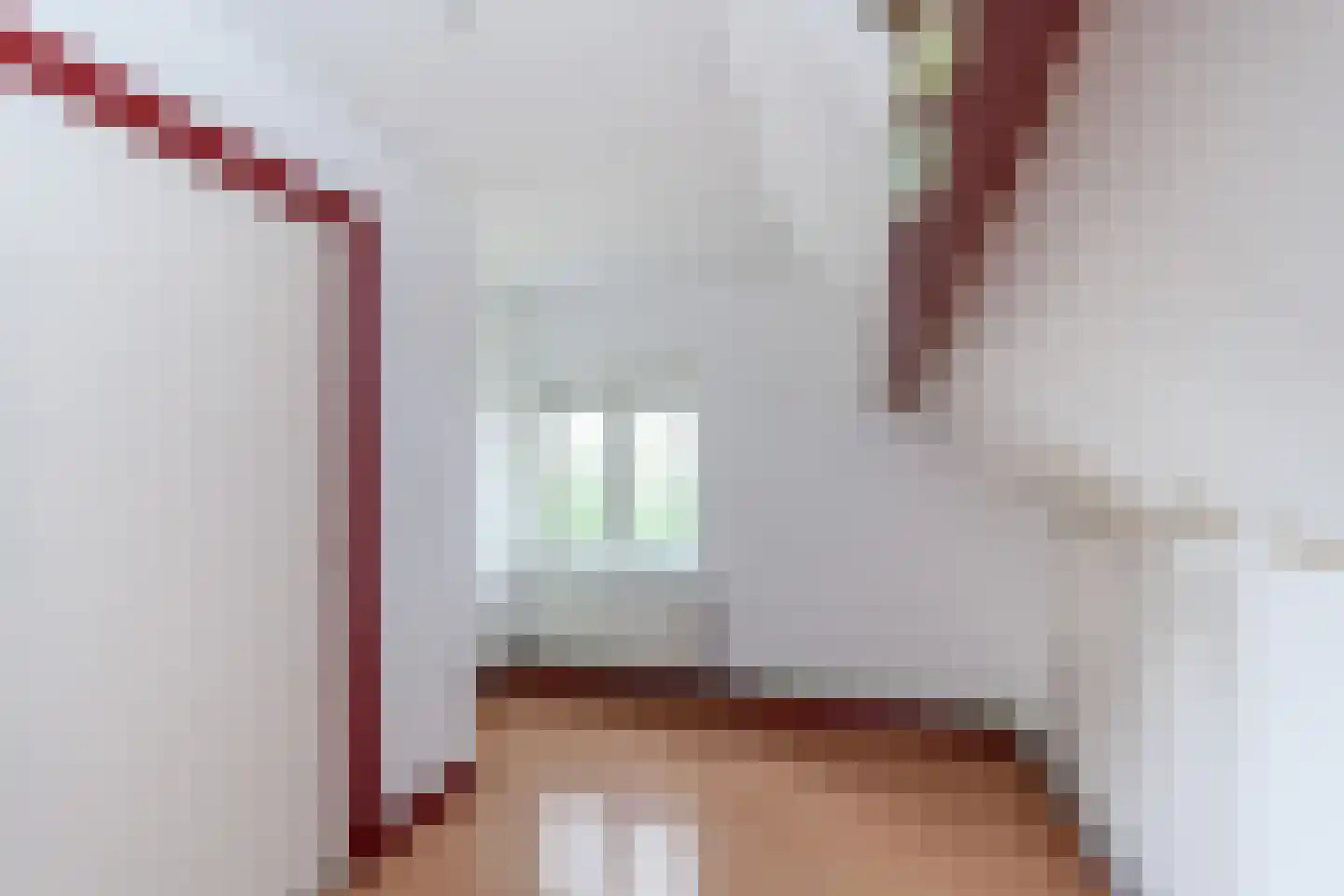 Havelandseweg 52 Rheden thumbnail 17