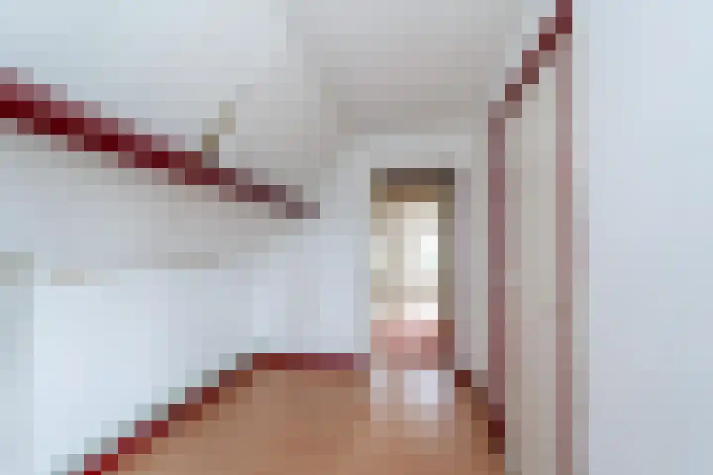 Havelandseweg 52 Rheden thumbnail 18