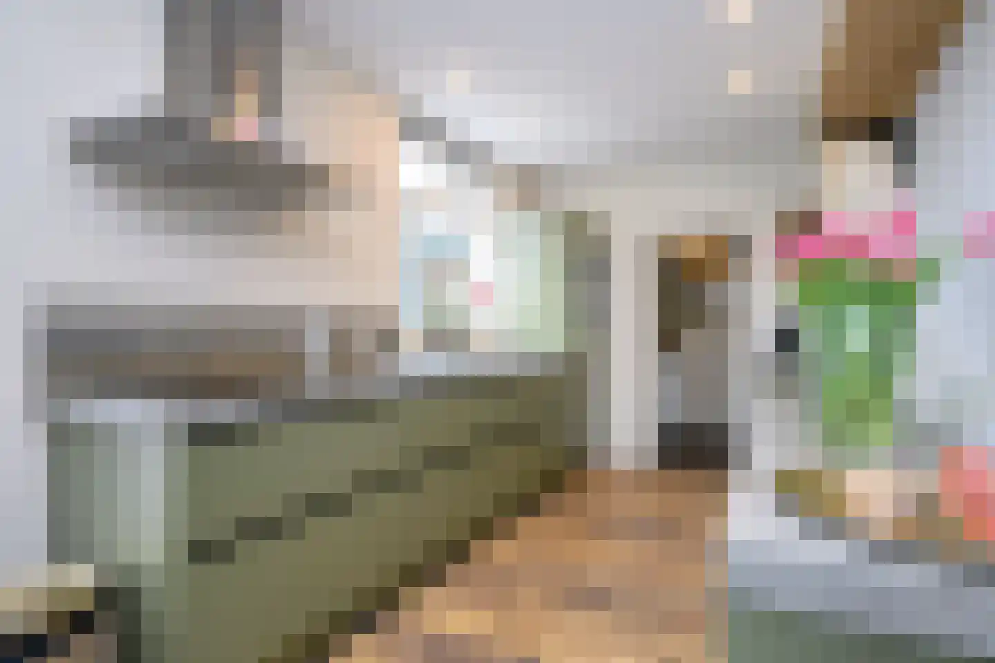 Havelandseweg 70 Rheden thumbnail 10