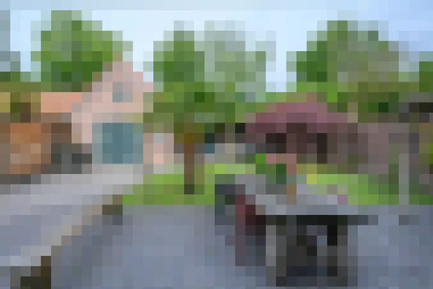 Havelandseweg 70 Rheden thumbnail 25