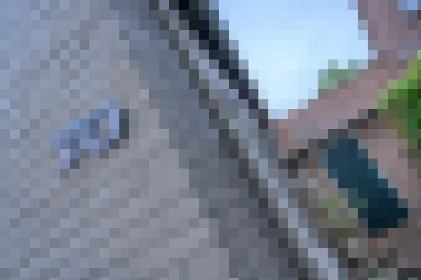 Havelandseweg 70 Rheden thumbnail 4