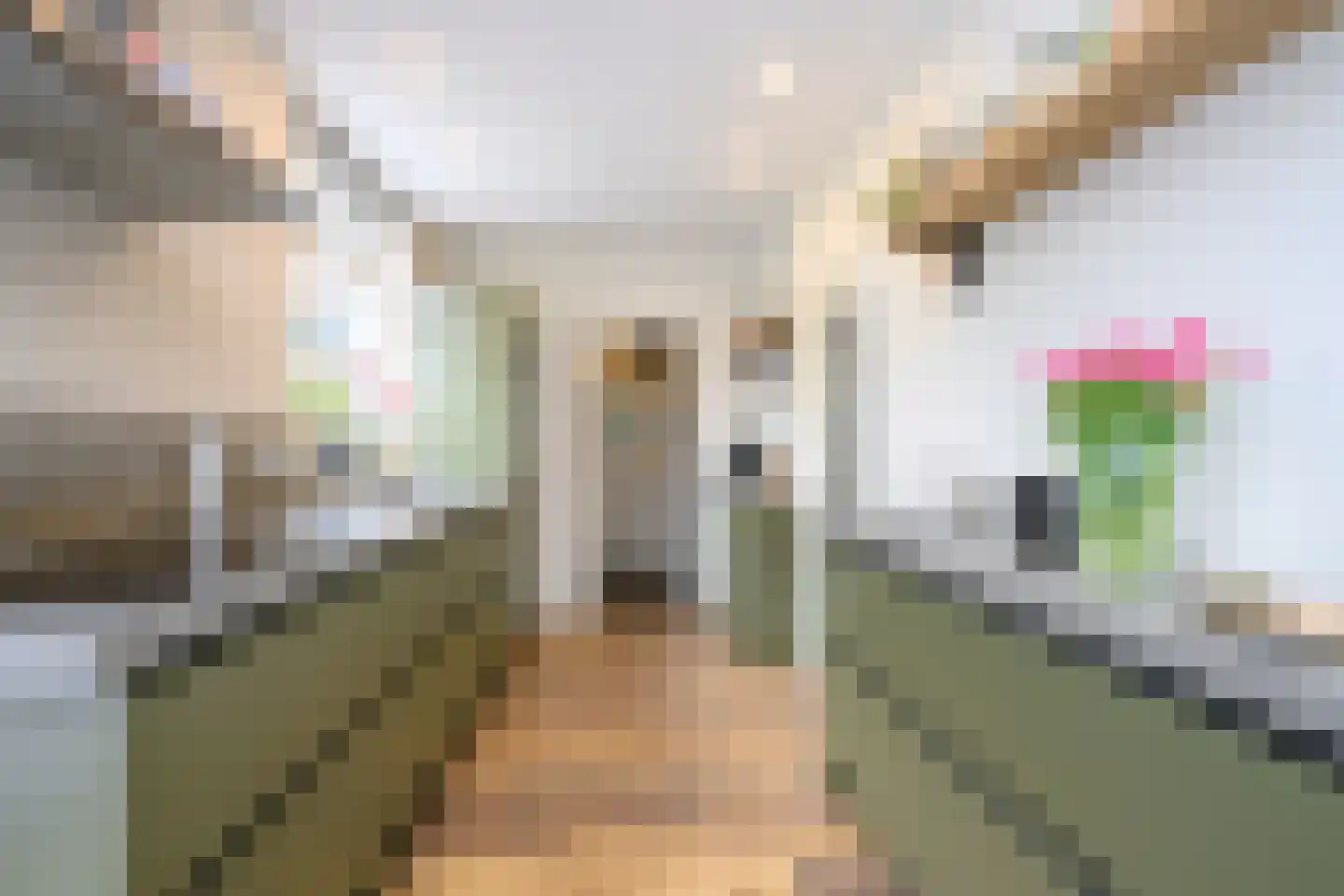 Havelandseweg 70 Rheden thumbnail 9