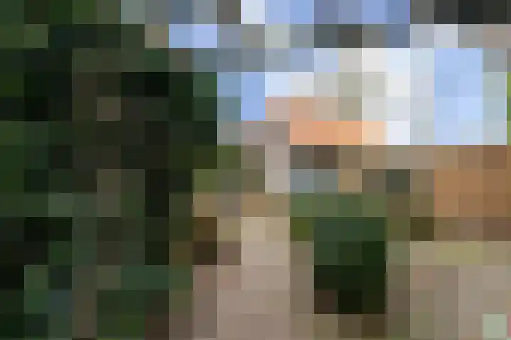 Havelandseweg 84 Rheden thumbnail 28