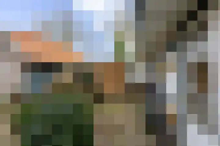 Havelandseweg 84 Rheden thumbnail 30