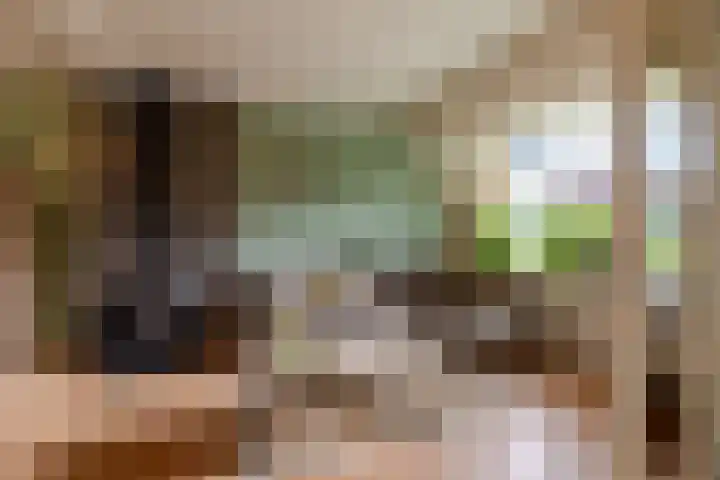 Havelandseweg 84 Rheden thumbnail 6