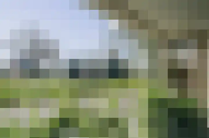 Havelandseweg 84 Rheden thumbnail 7
