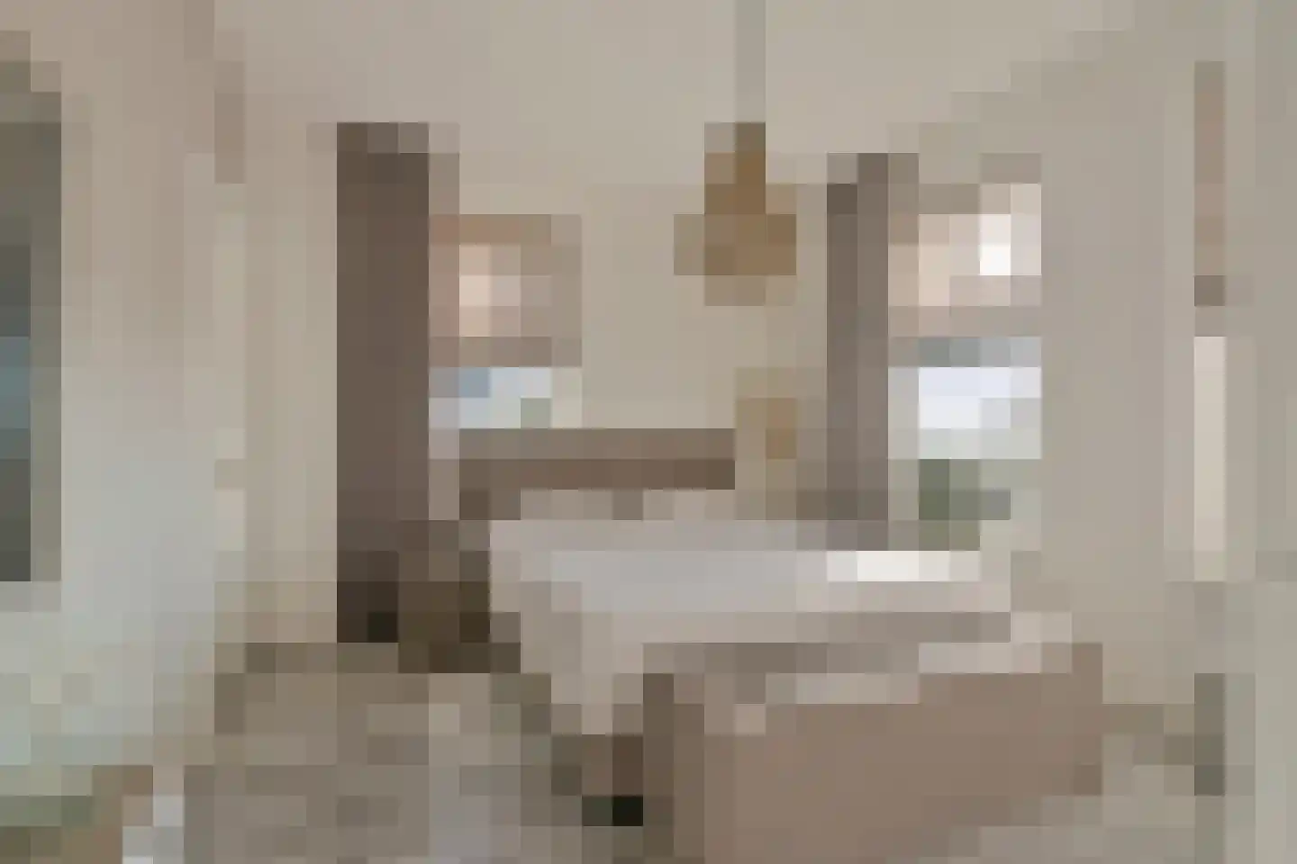 Haveloozeweg 6 Dirksland thumbnail 10