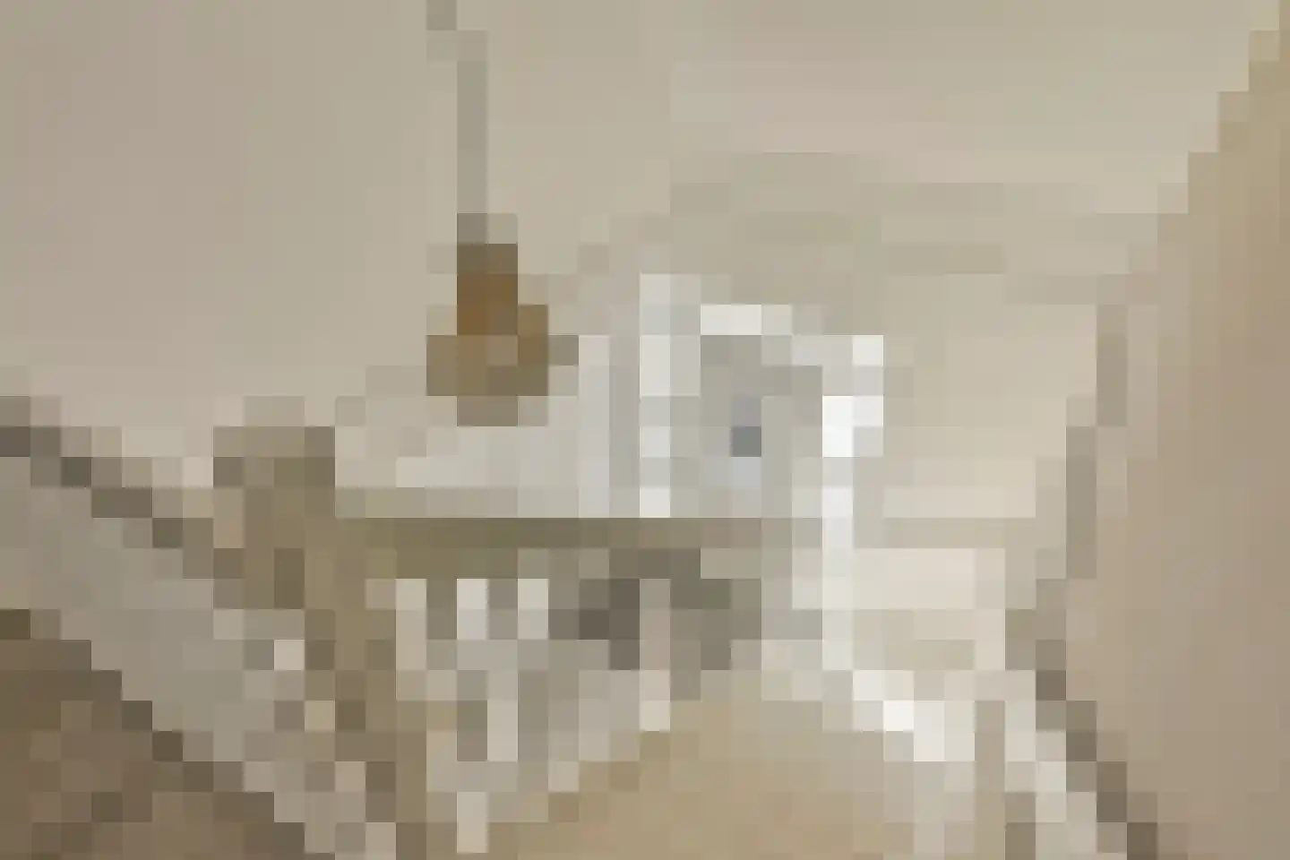 Haveloozeweg 6 Dirksland thumbnail 12