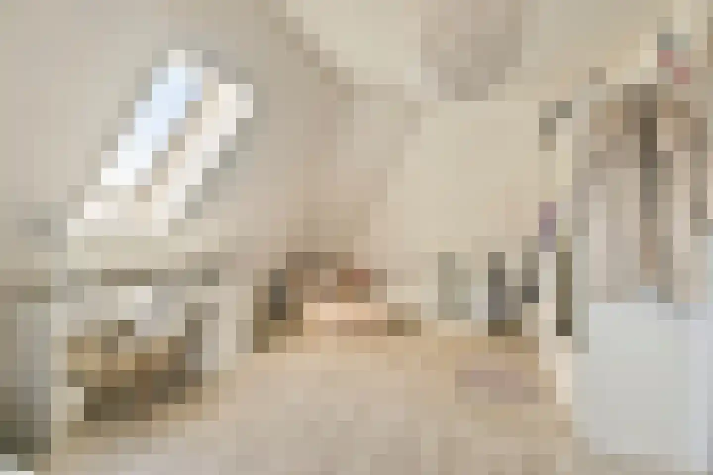 Haveloozeweg 6 Dirksland thumbnail 16