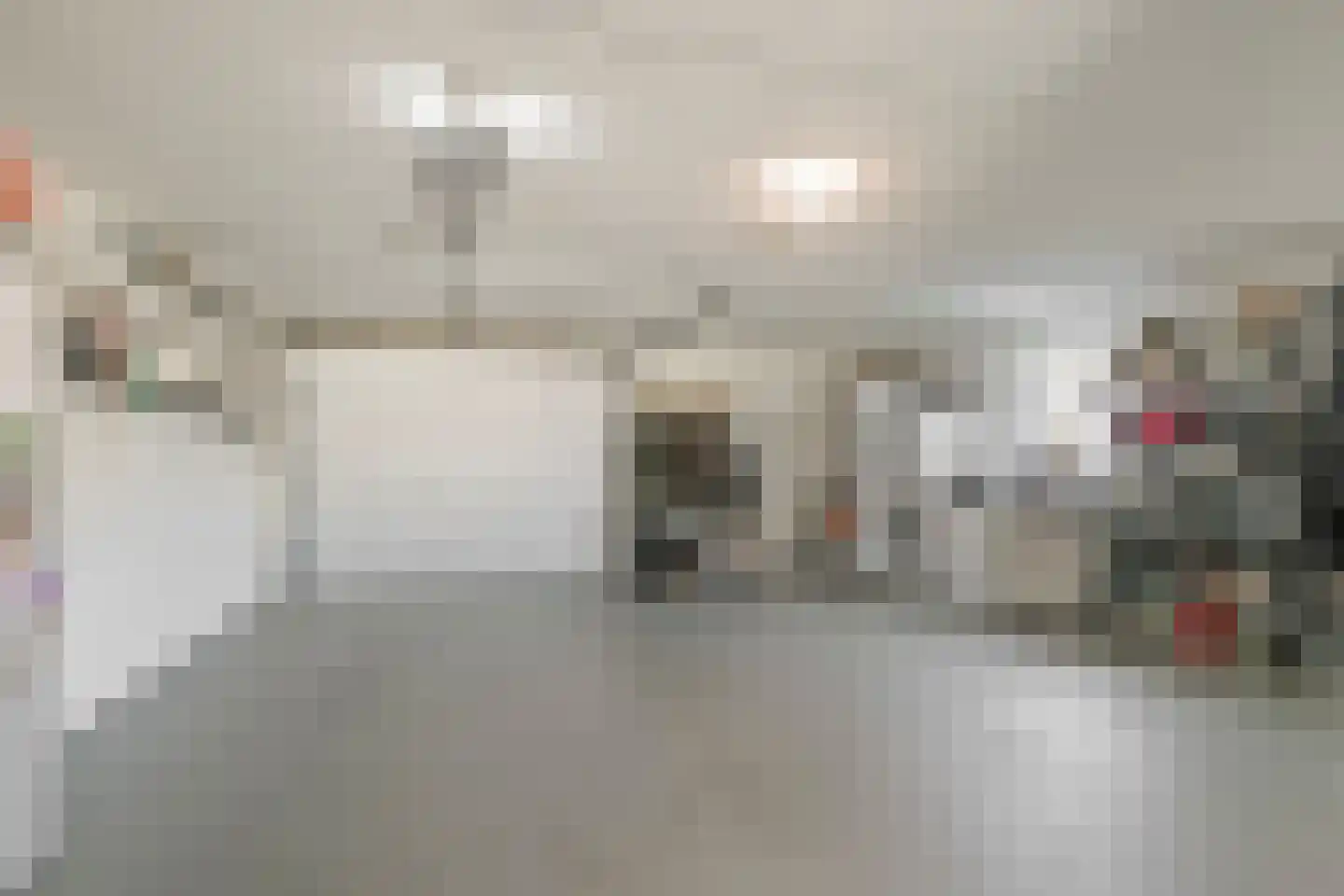 Haveloozeweg 6 Dirksland thumbnail 18