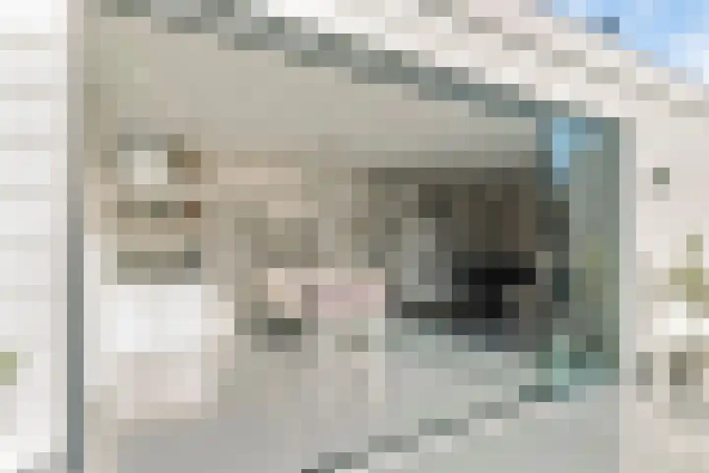 Haveloozeweg 6 Dirksland thumbnail 24