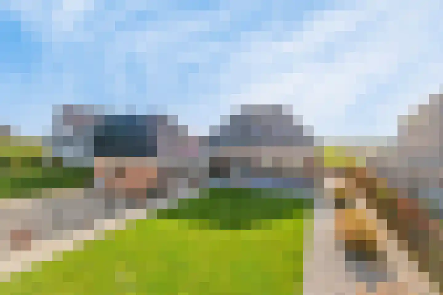 Haveloozeweg 6 Dirksland thumbnail 26