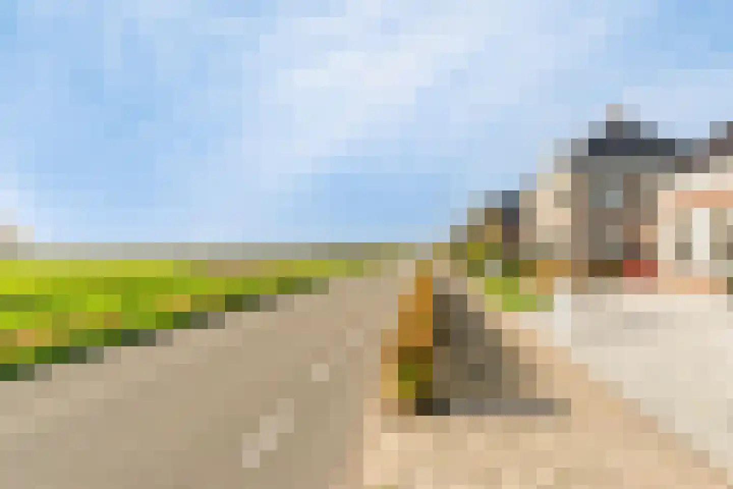 Haveloozeweg 6 Dirksland thumbnail 28
