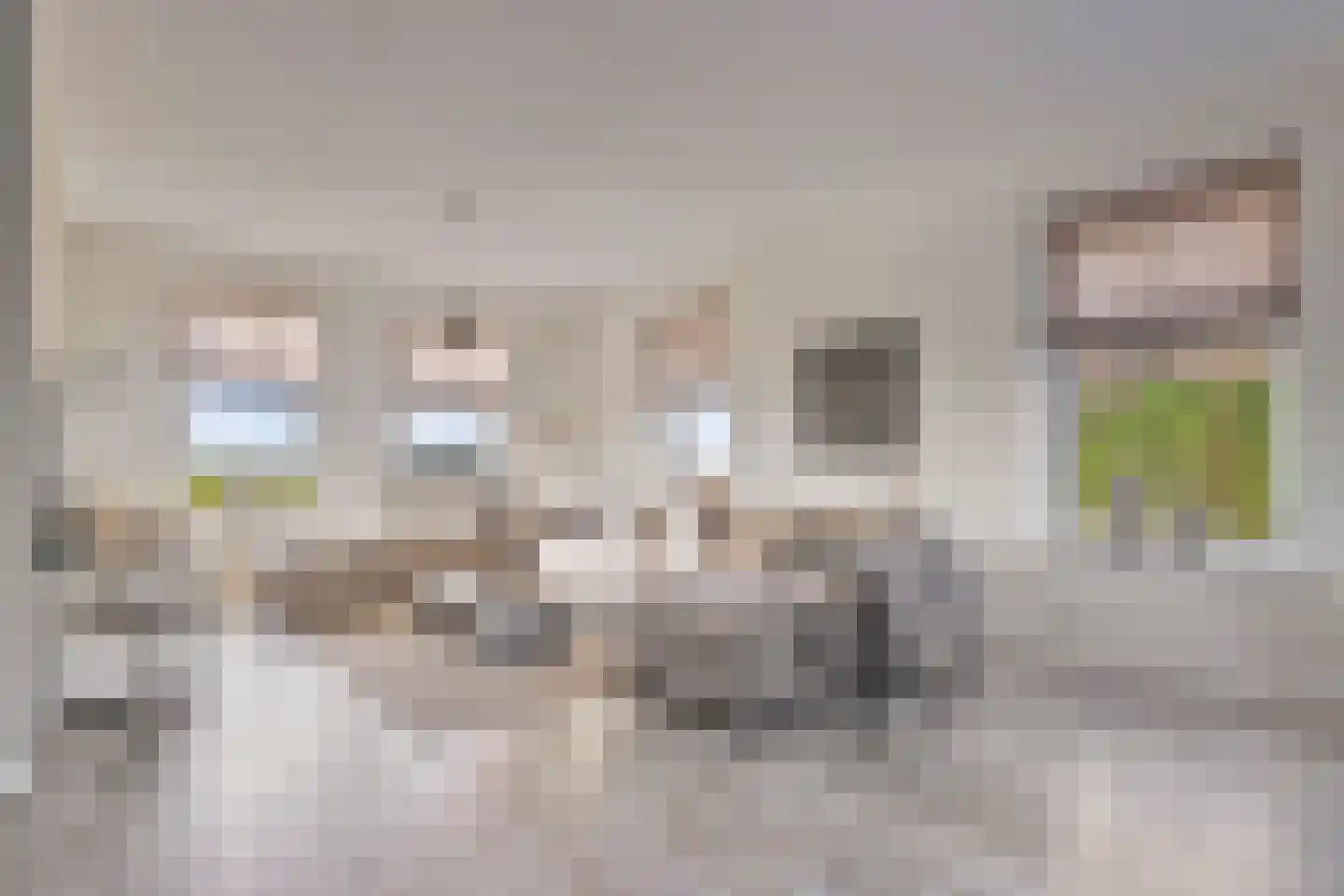 Haveloozeweg 6 Dirksland thumbnail 4