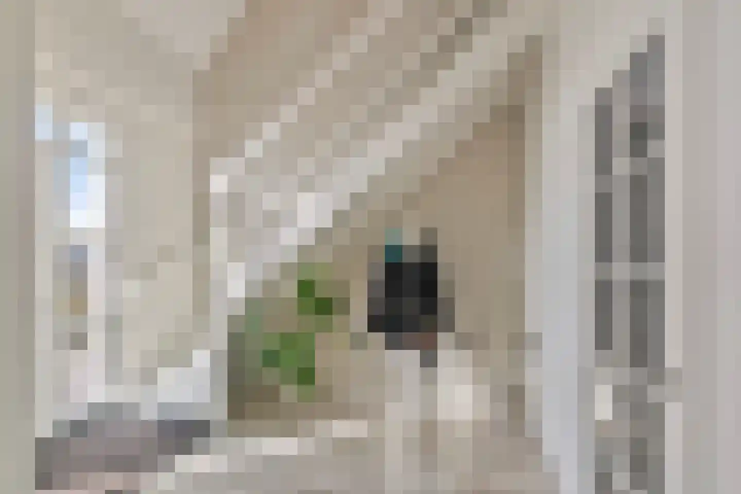 Haveloozeweg 6 Dirksland thumbnail 6
