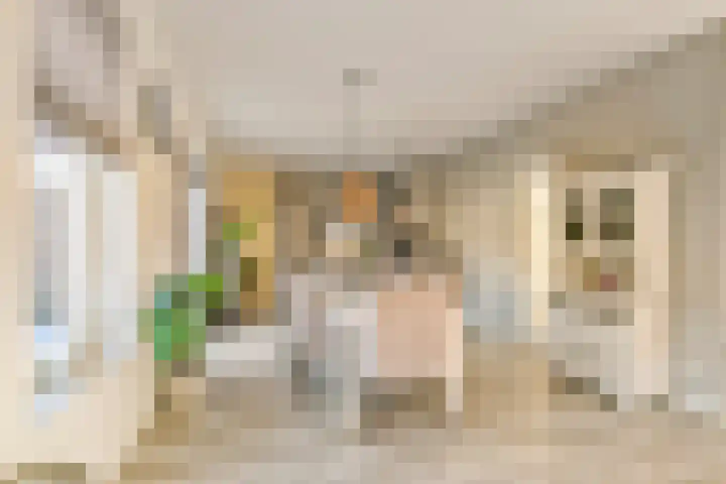 Haveloozeweg 6 Dirksland thumbnail 8