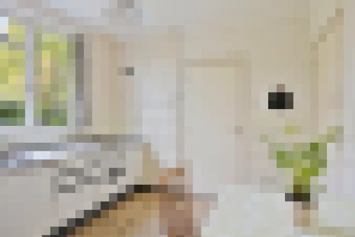 Havelt 4 Veghel thumbnail 16