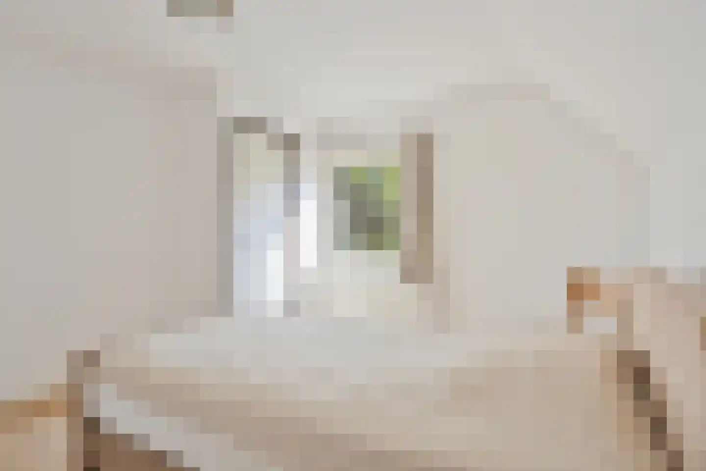 Havelt 4 Veghel thumbnail 21
