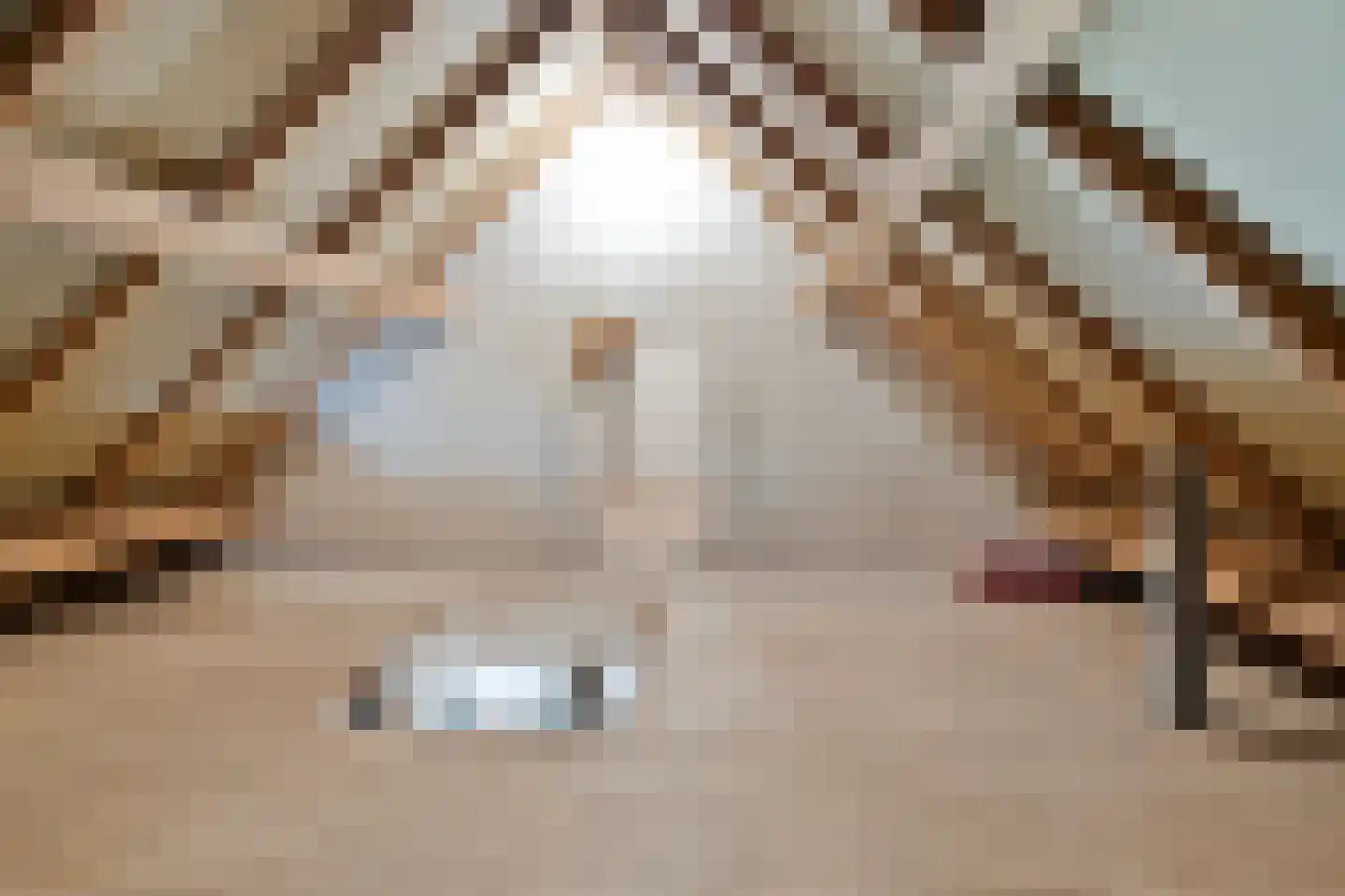 Havelt 4 Veghel thumbnail 29
