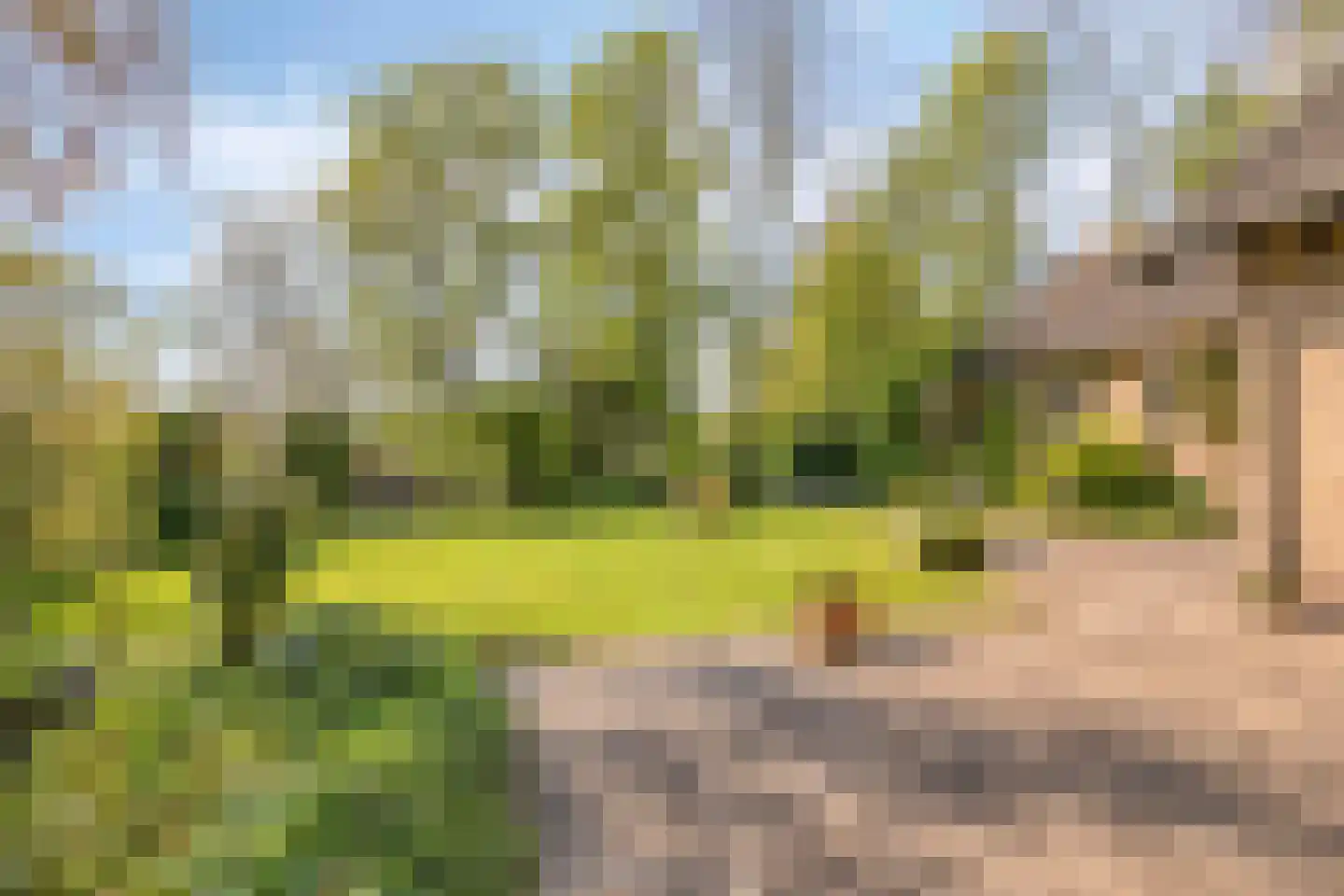 Havelt 4 Veghel thumbnail 31