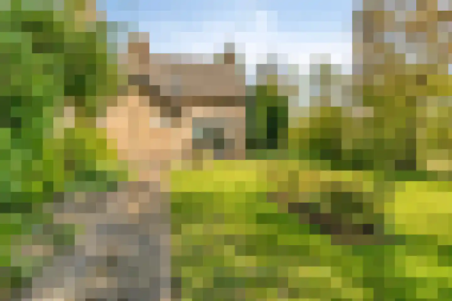 Havelt 4 Veghel thumbnail 32