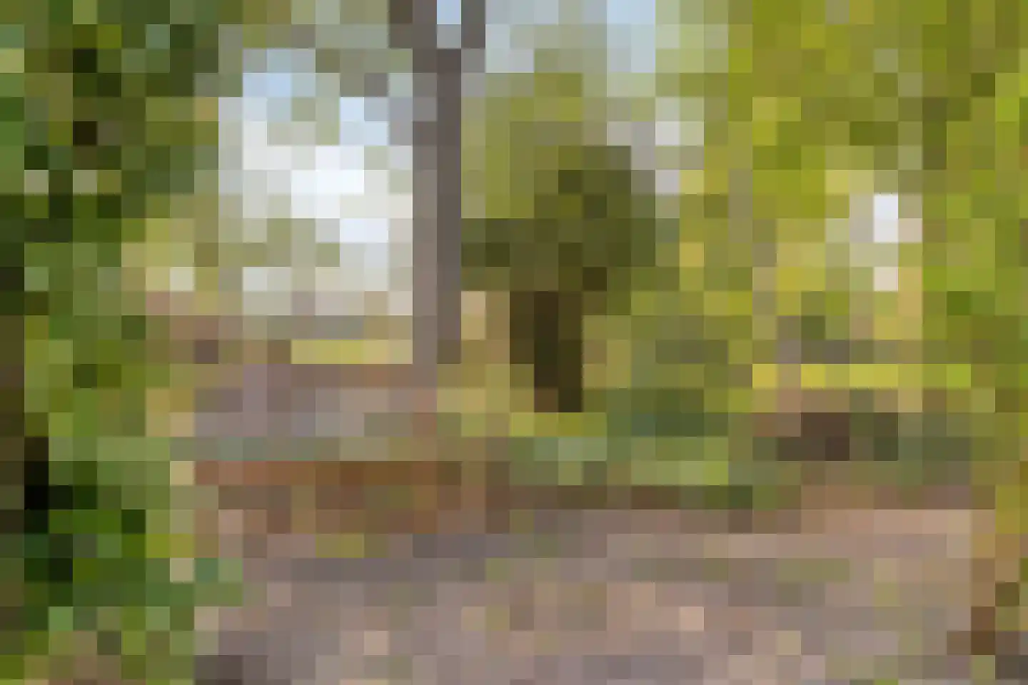Havelt 4 Veghel thumbnail 34