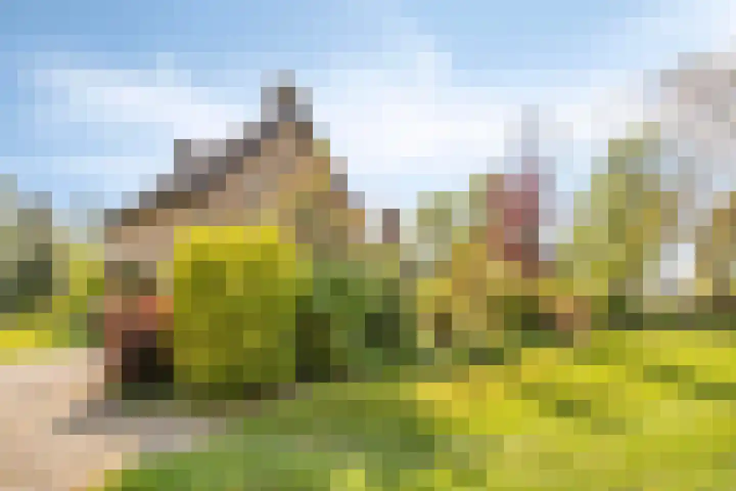 Havelt 4 Veghel thumbnail 5