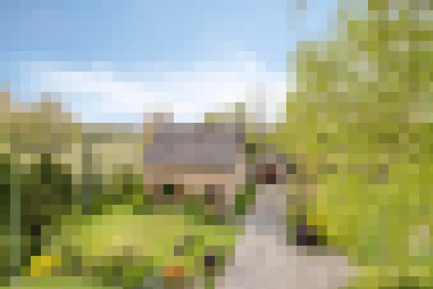 Havelt 4 Veghel thumbnail 6