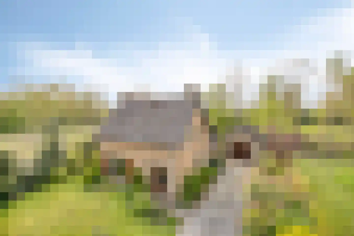 Havelt 4 Veghel thumbnail 7
