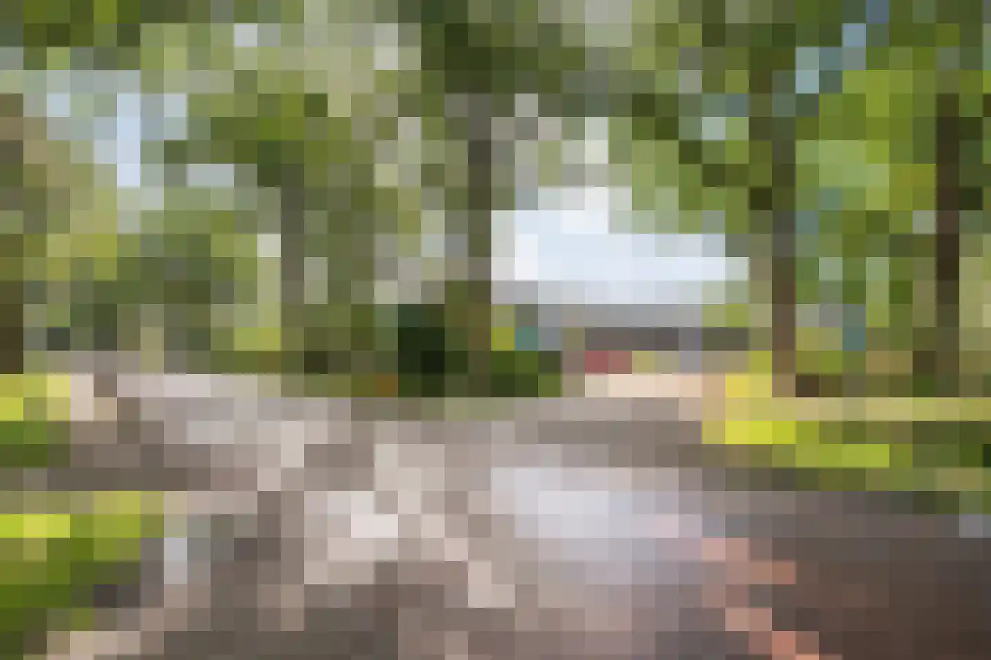 Havelter Schapendrift 22 13 Havelte thumbnail 14