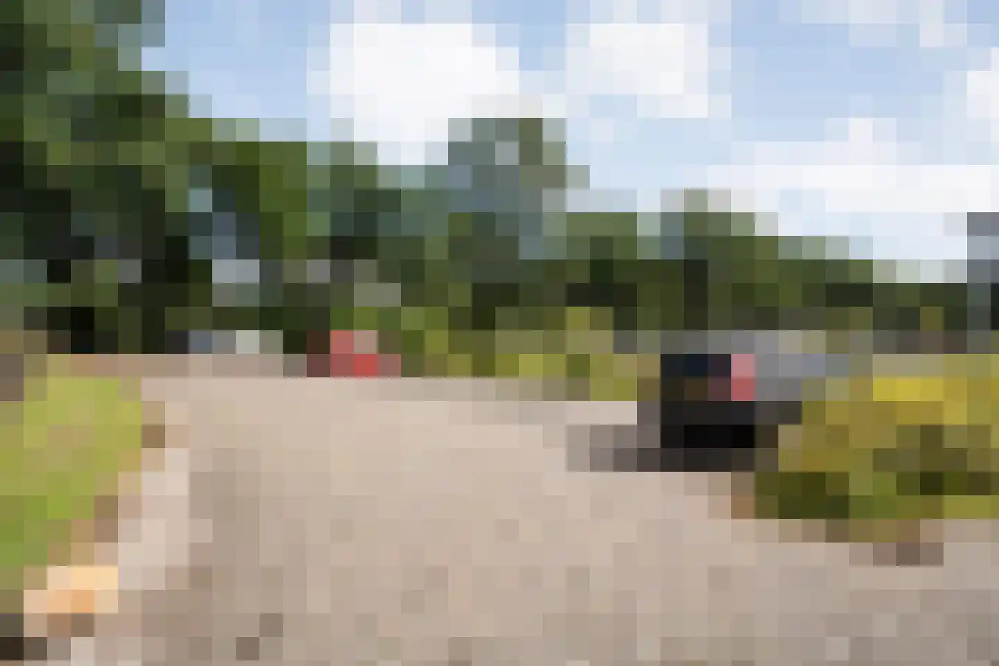 Havelter Schapendrift 22 13 Havelte thumbnail 16