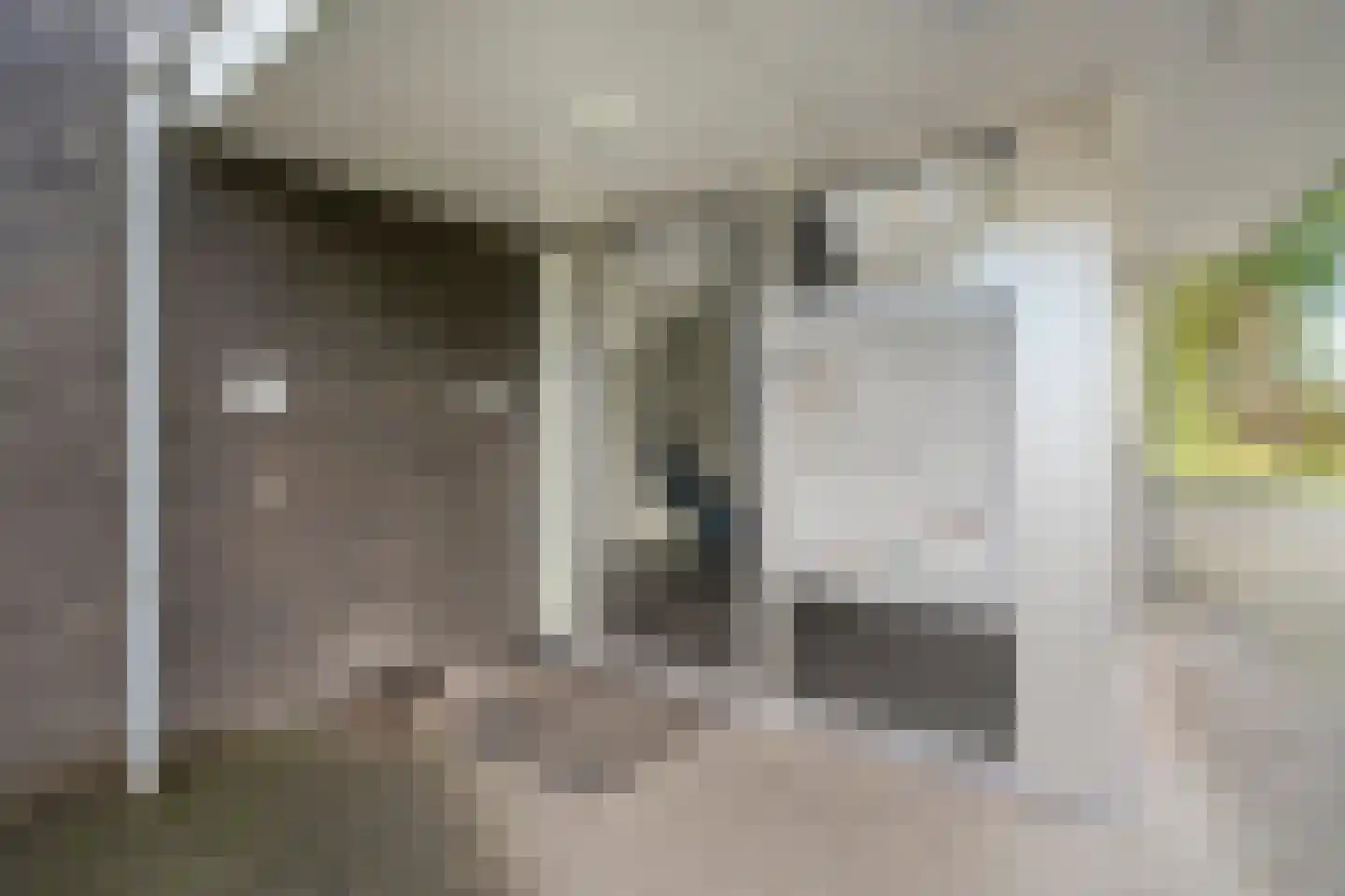Havelter Schapendrift 22 13 Havelte thumbnail 18