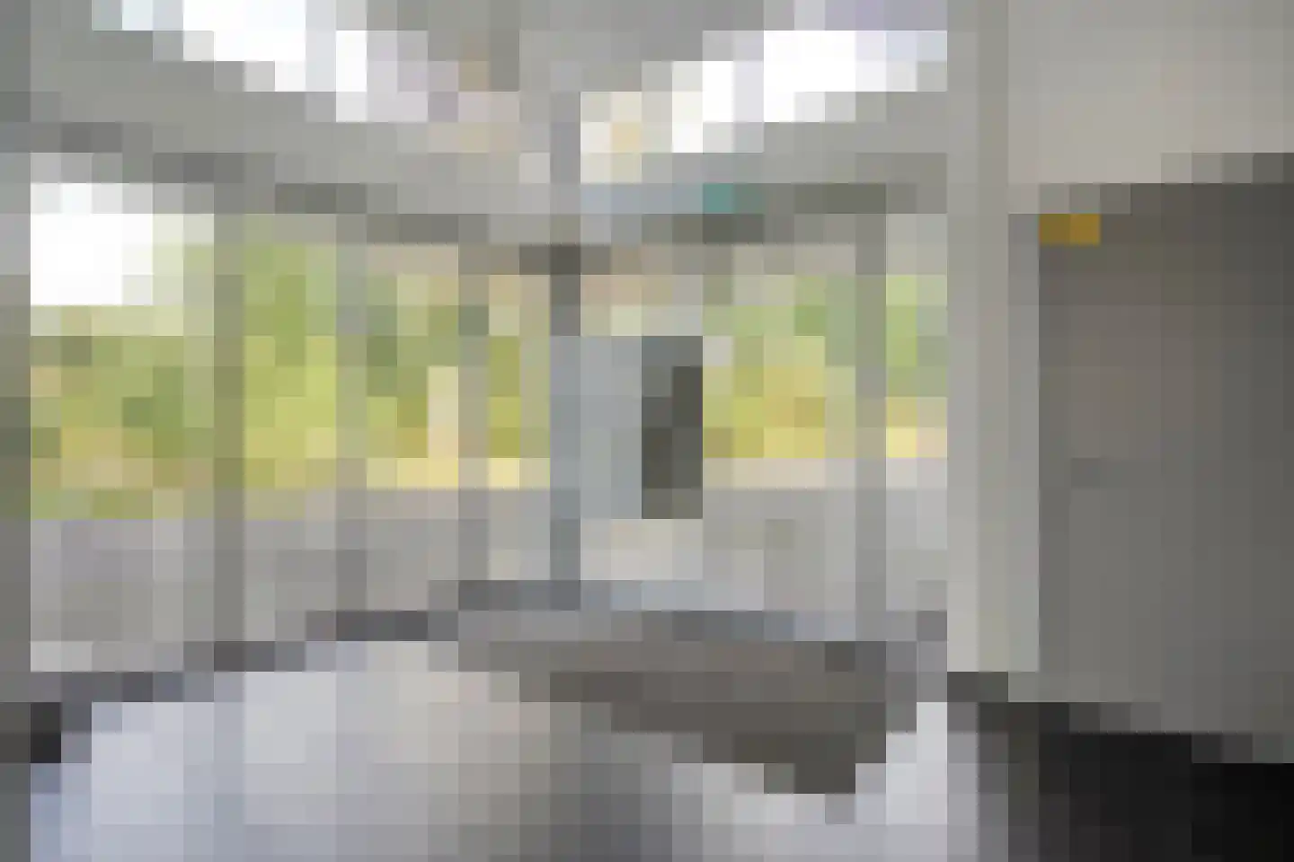Havelter Schapendrift 22 13 Havelte thumbnail 19