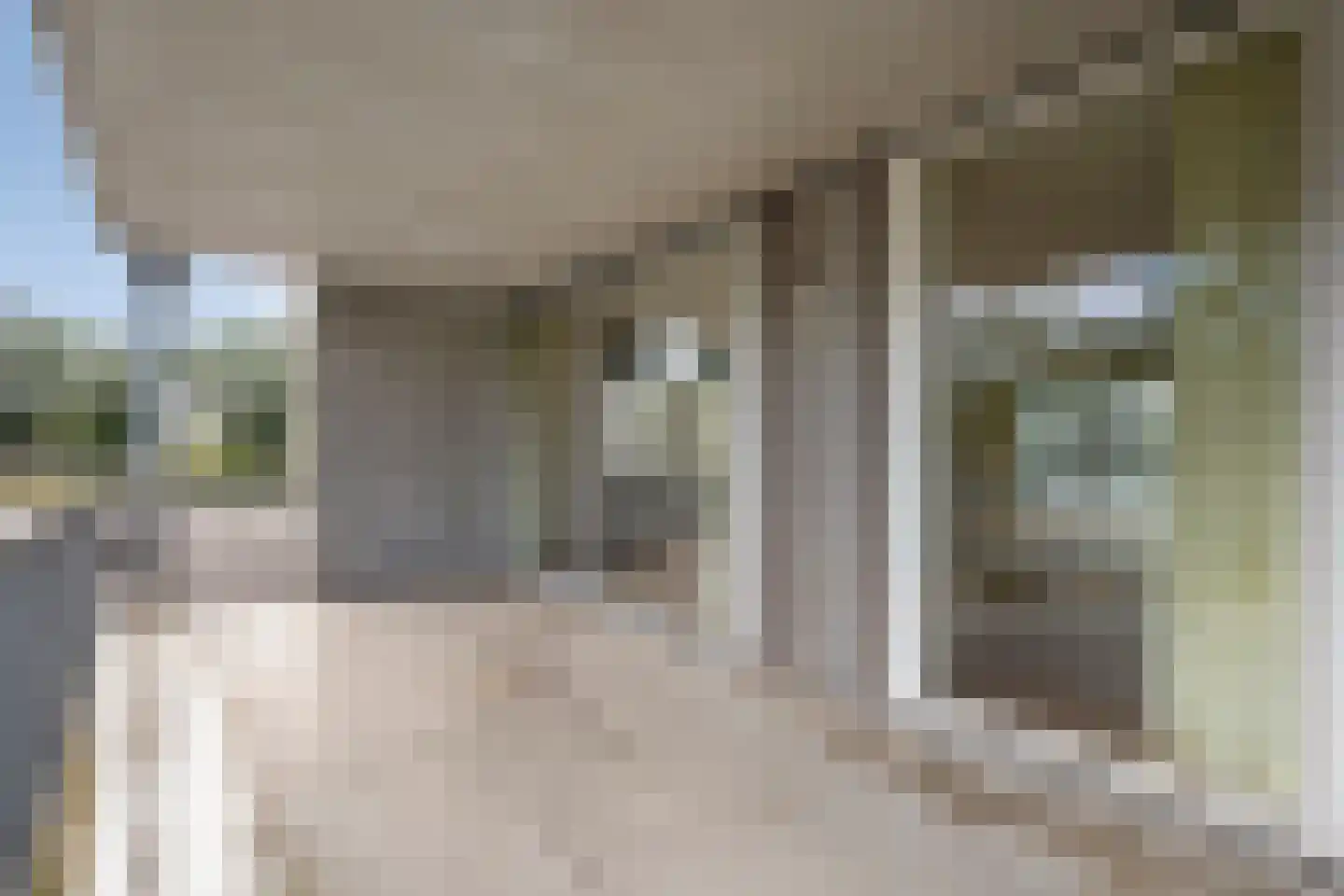 Havelter Schapendrift 22 13 Havelte thumbnail 7