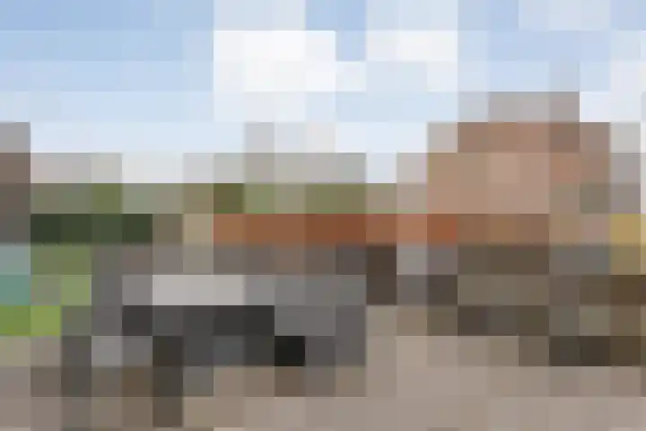 Havelter Schapendrift 33 Havelte thumbnail 21