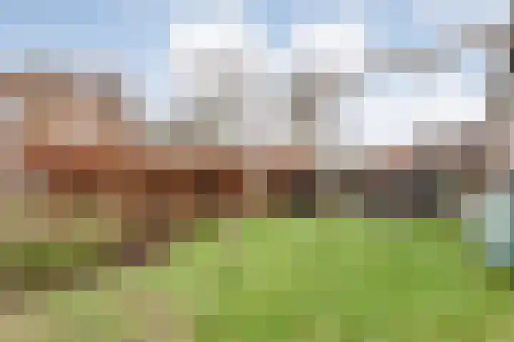 Havelter Schapendrift 33 Havelte thumbnail 22