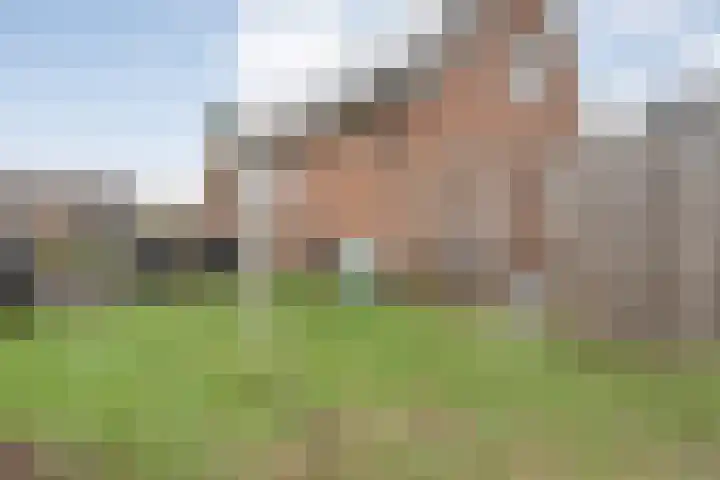 Havelter Schapendrift 33 Havelte thumbnail 23