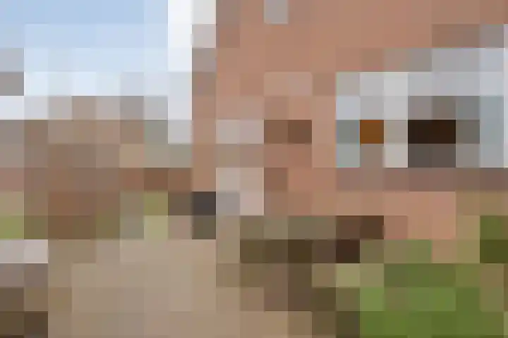 Havelter Schapendrift 33 Havelte thumbnail 24