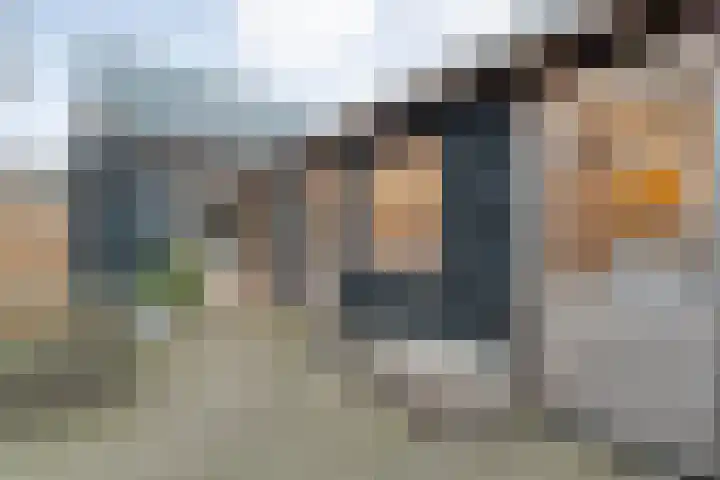 Havelter Schapendrift 33 Havelte thumbnail 26