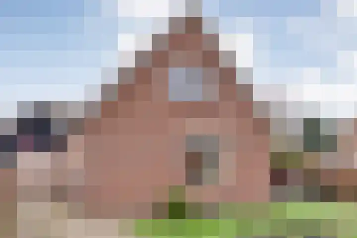 Havelter Schapendrift 33 Havelte thumbnail 34