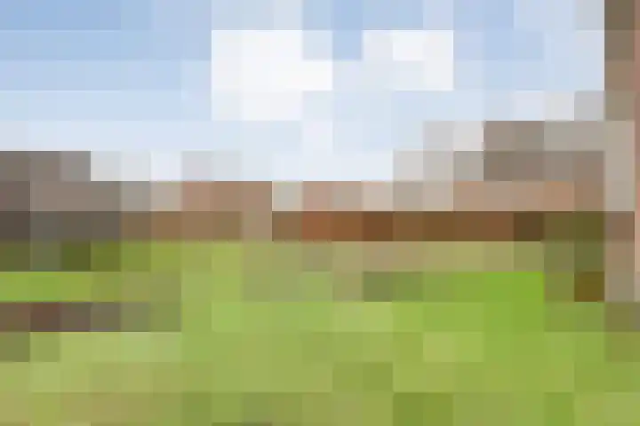 Havelter Schapendrift 33 Havelte thumbnail 35