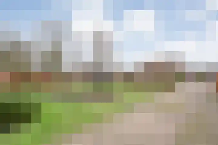Havelter Schapendrift 33 Havelte thumbnail 36