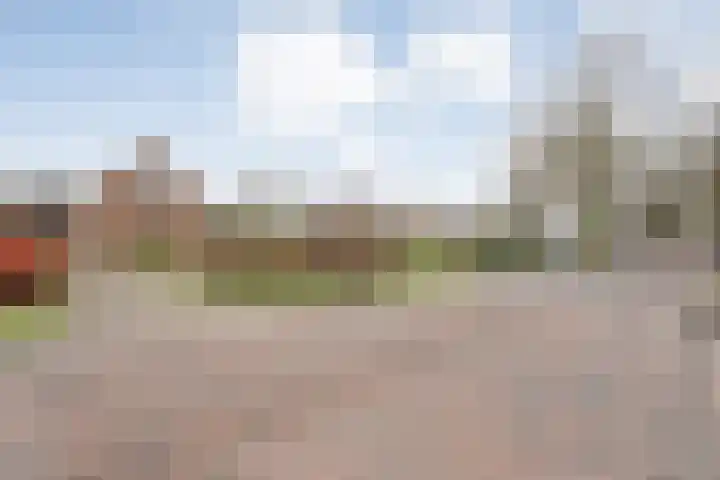 Havelter Schapendrift 33 Havelte thumbnail 37
